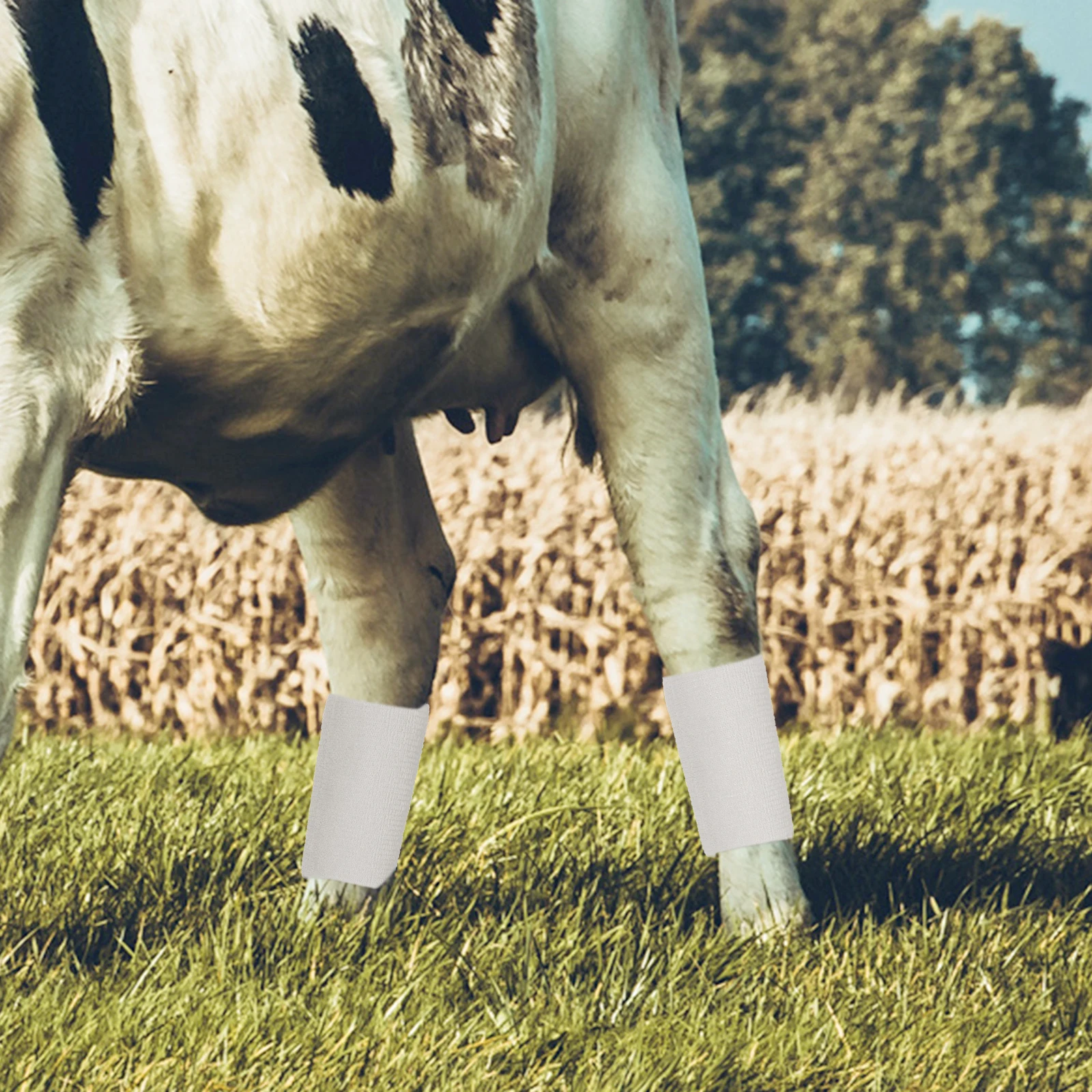 

Self Adhesive age Wrap 2 Rolls Cow Fixing Vet Supply 10cm White Elastic Protection Practical ages