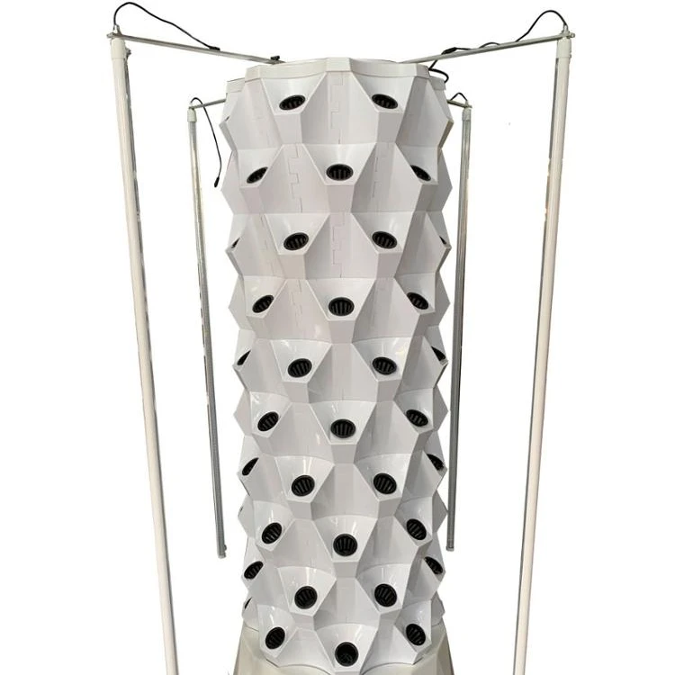 

Indoor Smart Automatic Watering Growing Systems Gardening Watering System for Greenhouse 80holes Plastic Provided Farms 48 670mm