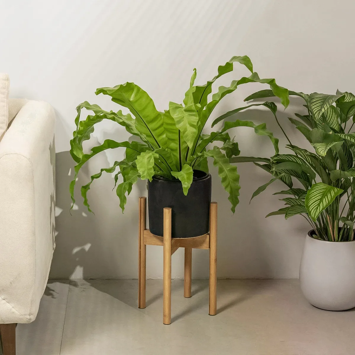 Plant Holder 8 9 10 11 12 Inches, Small Corner Planter Stand For Indoor Plants, Single Floor Plant Stand For Living Room Balcony, Natural Adjustable Plant Stand Indoor