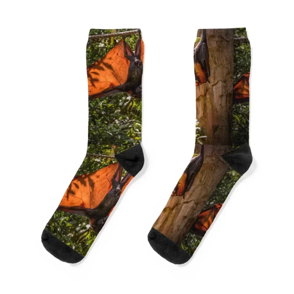 

Flying foxes Socks FASHION hip hop sheer happy Socks Women Men's