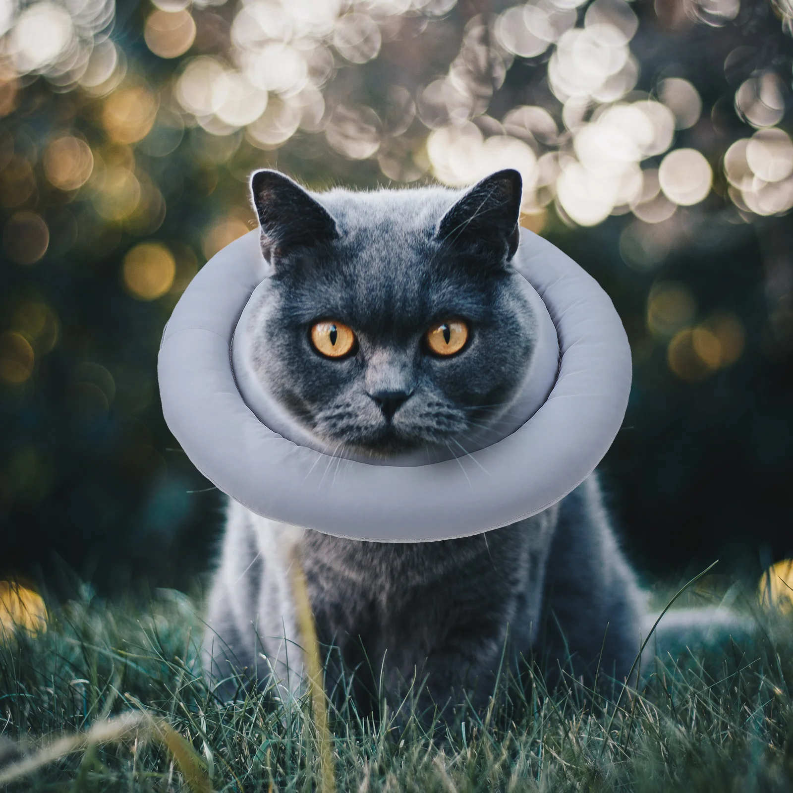 

Tarcoal Collar Cat Neck Protector Soft Pet Protective Recovery Adjustable Donut Collars