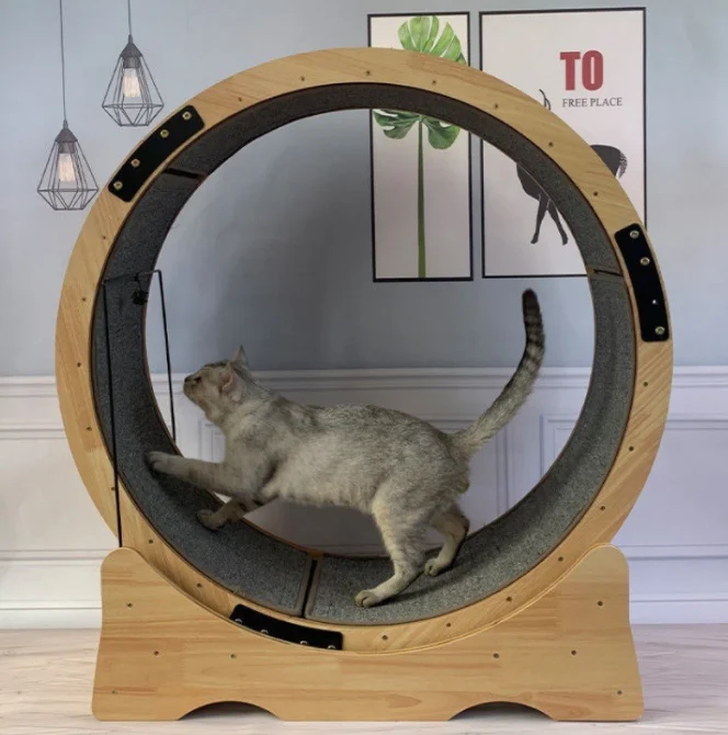 Multi-function Cat Scratch Board Climbing Frame Pet Non-fumigation Solid Wood Treadmill Wear-resistant Cat Sports Trainer