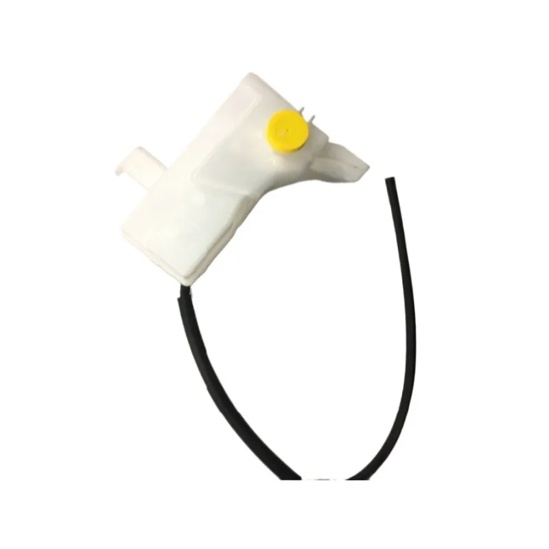 Genuine Engine Radiator Return Bottle Antifreeze Kettle Cooling Tank for Renault Koleos 2009-2016 Fluence 217100R05R Auto Part