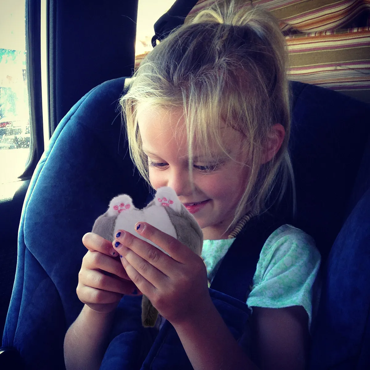 

Сумка через плечо с дизайном «Серый кот»: многофункциональная, для девочек, кроссбоди, для телефона, монет, денег, ключей, милый креативный органайзер для хранения