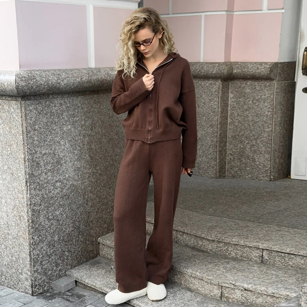 Sports Style Hooded Zipper Cardigan Wide Leg Pants Suit Autumn and Winter Women's Lazy Style Loose Thick Warm Jacket Pants 2Pcs view 3