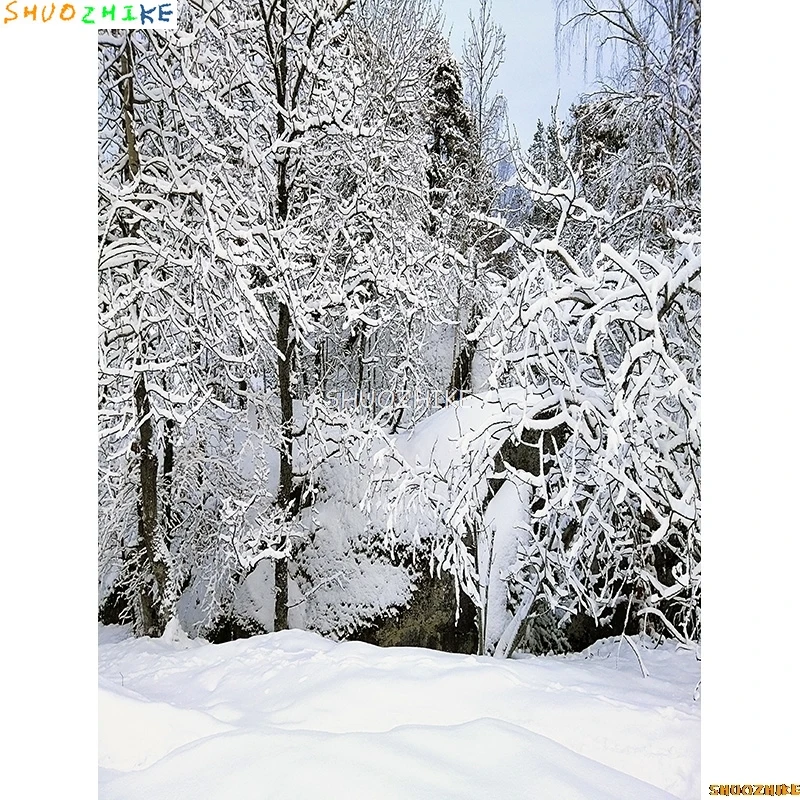 قطرات خلفية للتصوير الفوتوغرافي للغابات الشتوية ، طريق مغطى بالثلوج ، ندف الثلج ، أشجار التنوب ، خلفية الصورة ،