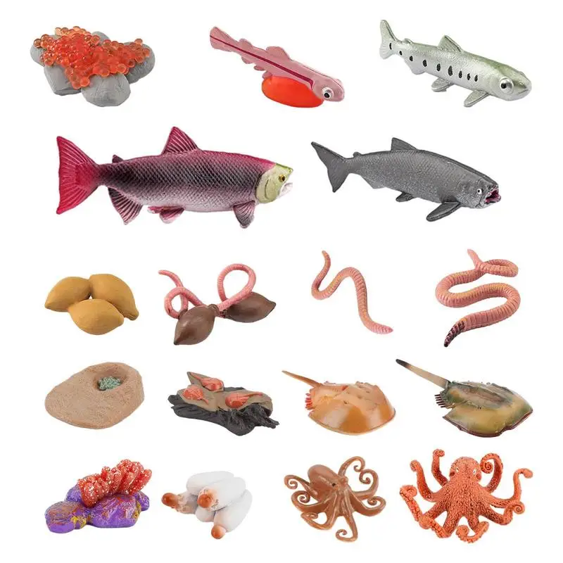 Realistic Animal Figurine Life Cycle Toys Oceans Animal Insect Octopus Fish Science Learning Education Montessori Toy For Kids