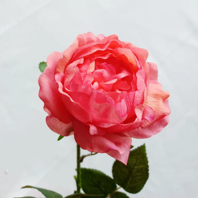 보습 모란 장미 리얼 터치 인공 모란 꽃, 홈 거실 장식, 웨딩 파티 테이블 꽃꽂이, 신제품