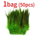 50pcs Olive