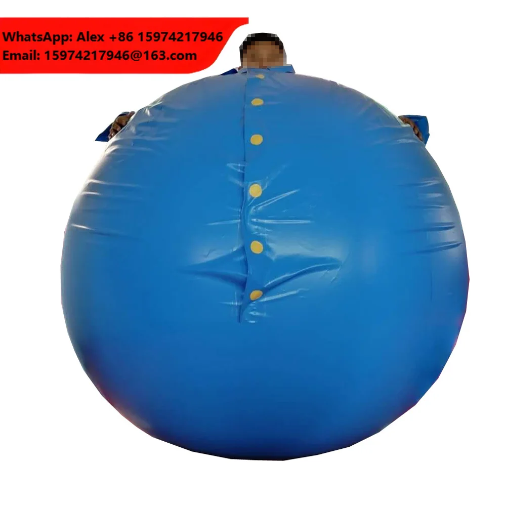 Hot Sale Customized Sizes Inflatable Blueberry Suit Durable Inflatable Costume Ball