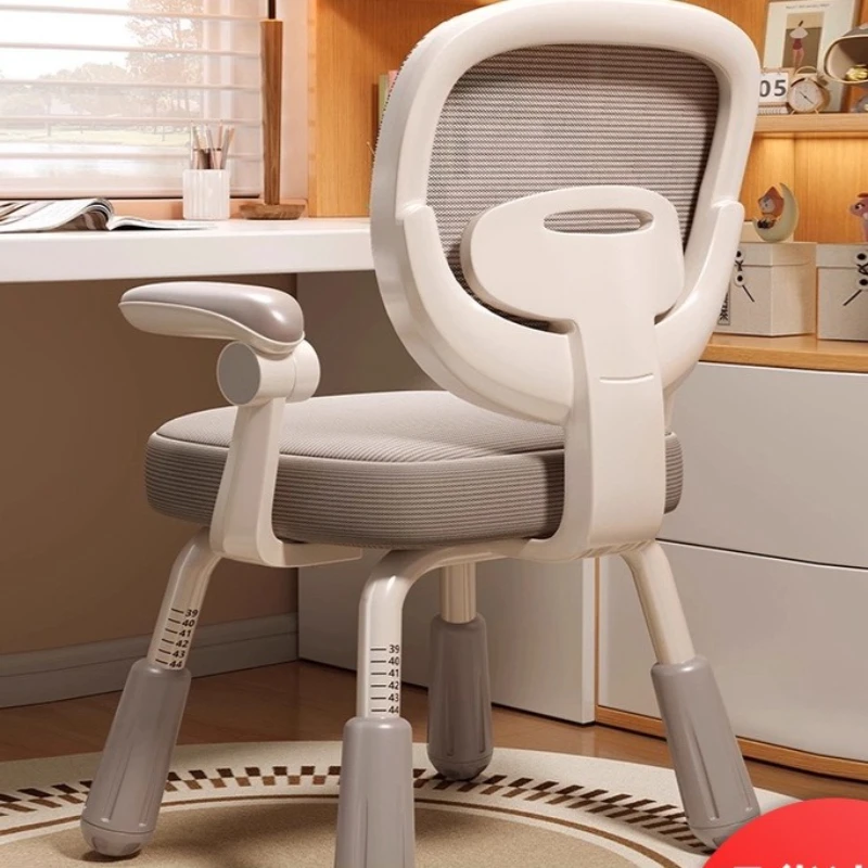 

ZStudy Chair Household Primary And Secondary School Students Writing Chair Lifting Adjustment Correction Sitting Posture StoolZ