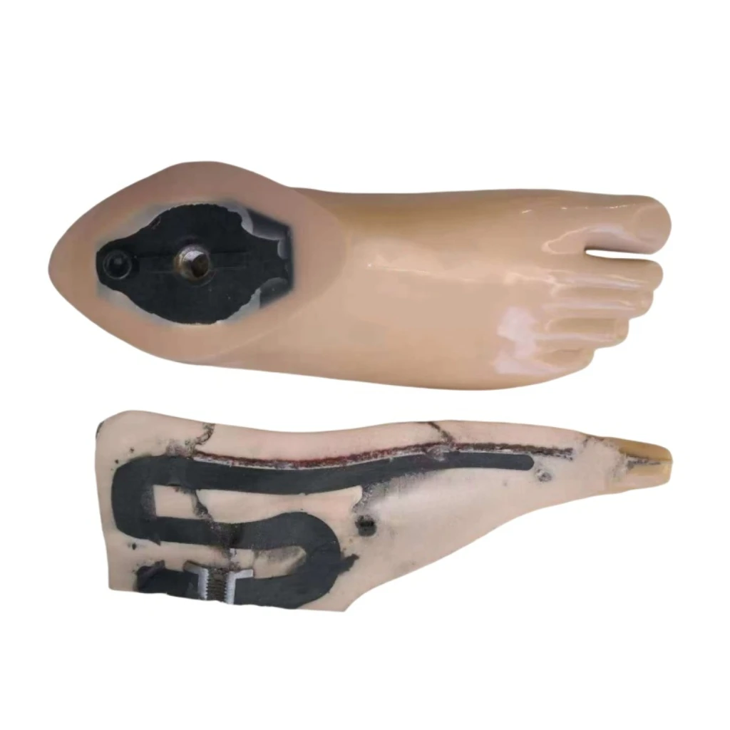 Polyurethane Dynamic Foot  High Quality Energy-Storing Dynamic Prosthetic Foot with Carbon Fiber Core for Amputee