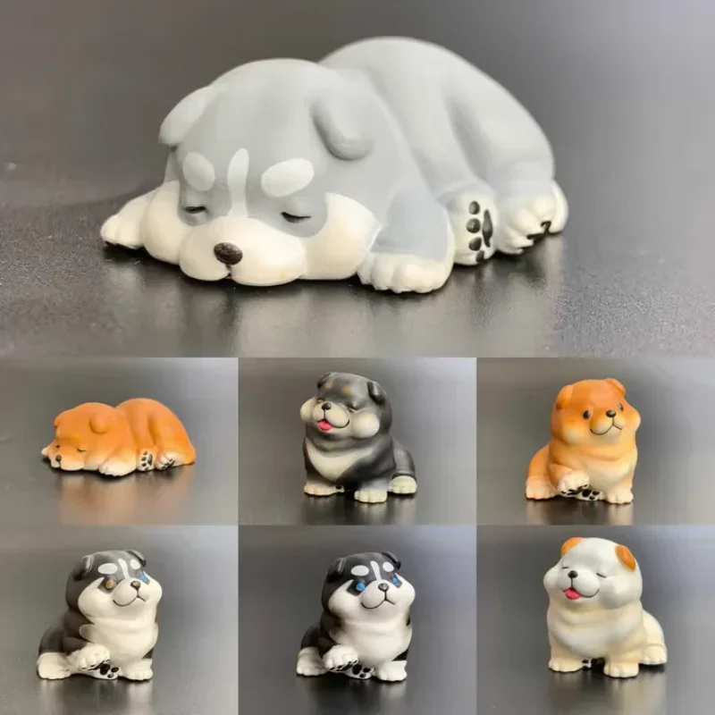 Original Kawaii Kitan Club Gashapon Figure Plump Shiba Inu Dog Mini Animal Figurine Anime Decor Capsule Toys