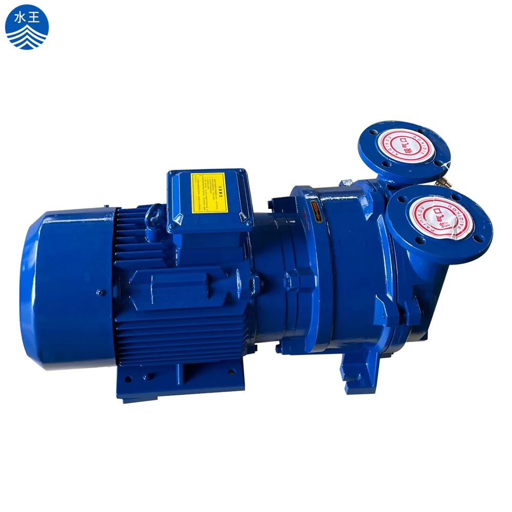 NASH Industrial Explosion Water Vacuum Pump Single Stage Liquid Ring Vacuum Pump System