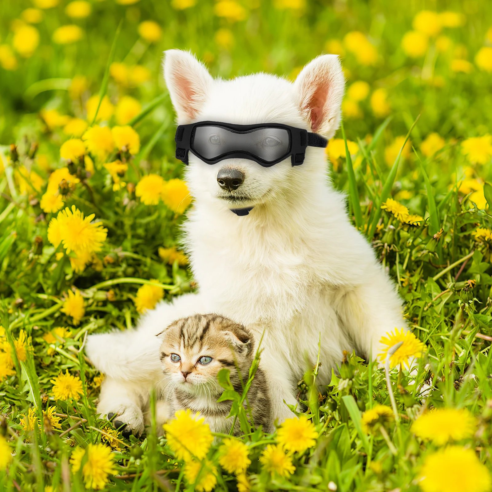 

1 Pair Dog Sunglasses Uv Protection Windproof Pet Eyewear Adjustable Fit For Small Medium Breeds Stylish Outdoor Eye Wear For