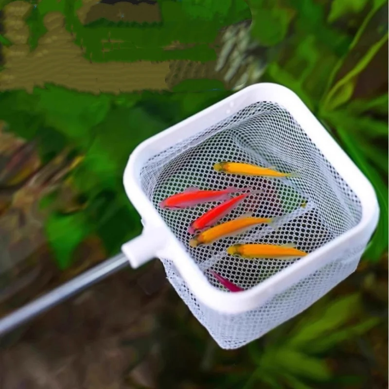 Stainless Steel Fine Net Fishing Net - Retractable and Durable Aquarium and Fish Tank To Catch Small Fish Accessories