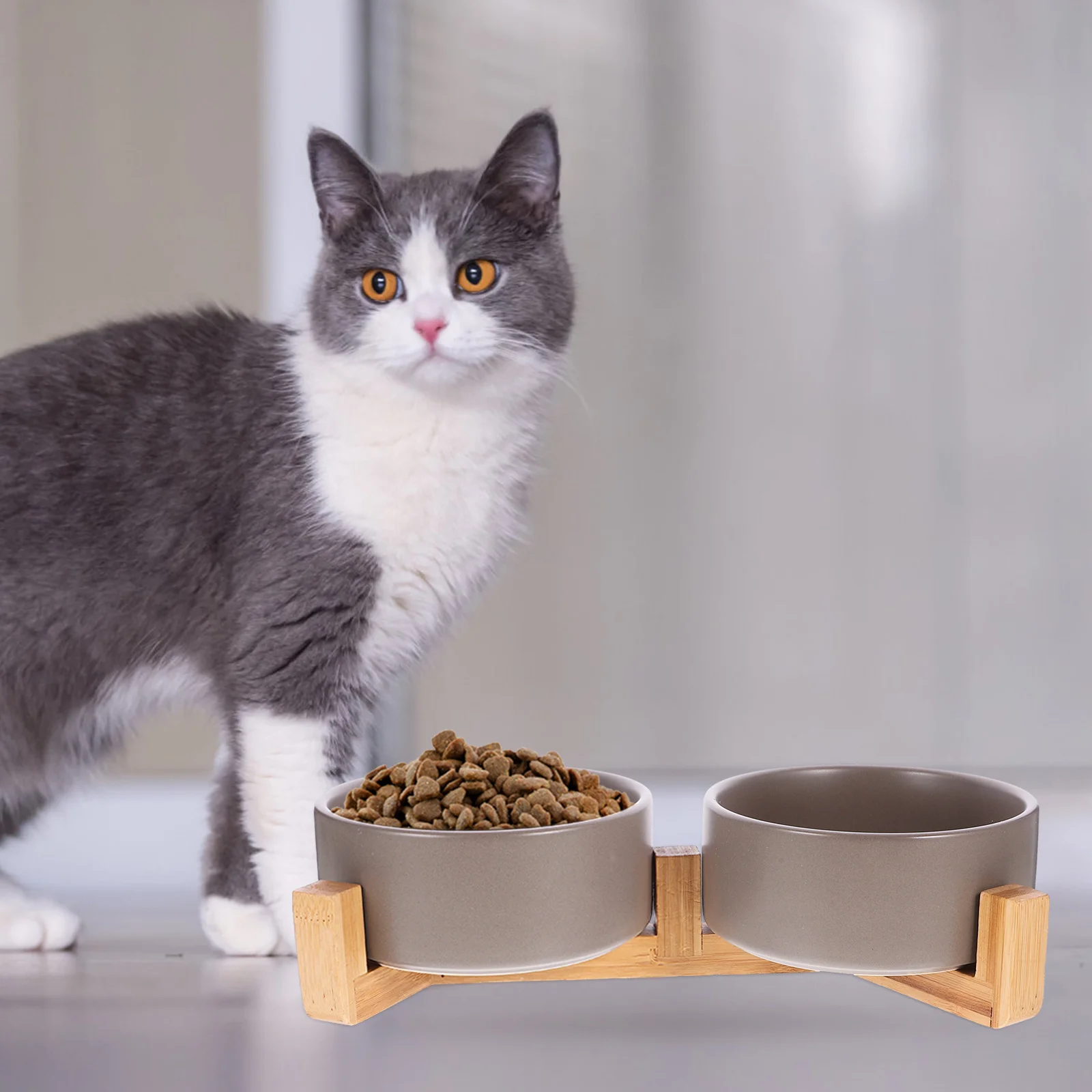 

1Set Ceramic Dog Cat Bowl Anti Slip Base Wooden Stand Dual Compartment Pet Feeder Heavy Duty Food Water Dish for Small Medium