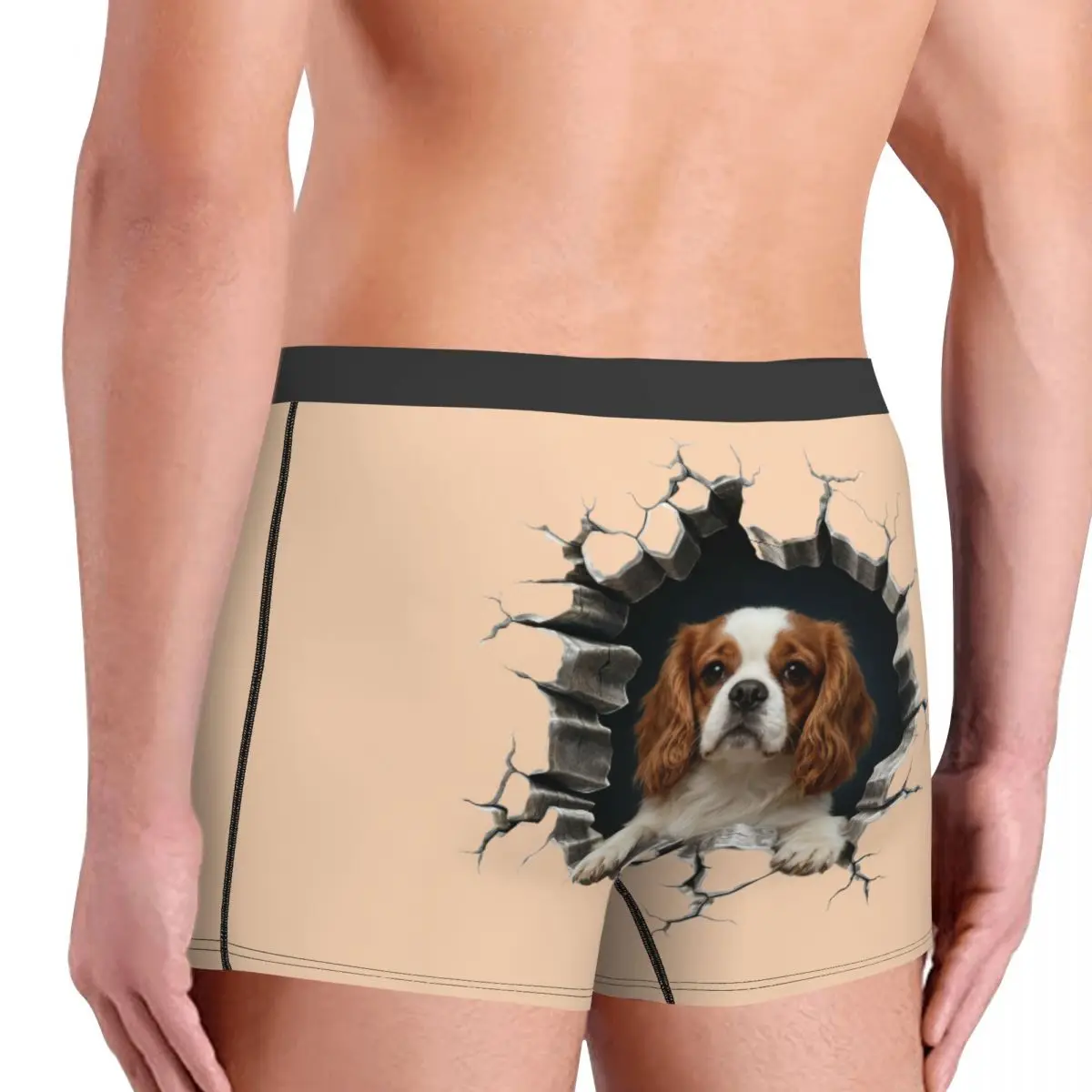 Cavalier King Charles Spaniel ropa interior del Día de San Valentín hombre impreso amante de los perros Boxer calzoncillos cortos bragas calzoncillos suaves