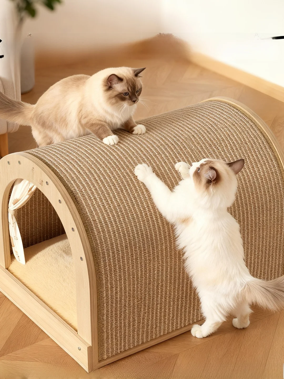 

Круглогодичный домик-когтеточка для кошек с интегрированной игрушкой, лежанка для питомцев, маленький размер, из безопасных материалов