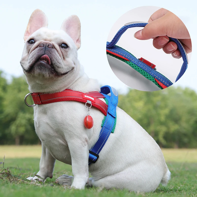 Fashional Color-blocking Dog Harnesses Comfortable Beautiful Adjustable Not Strangling Dog Chest Harness Guinzaglio Per Cani