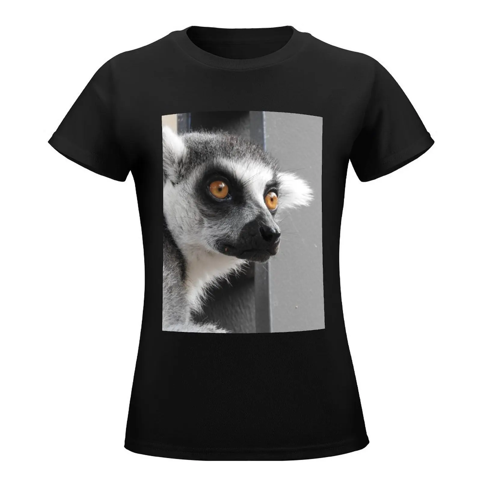 Ring Tailed Lemur T-Shirt shirts graphic tees vintage clothes T-shirt Women