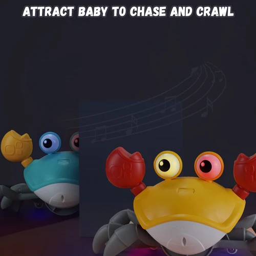 לימוד וחינוך