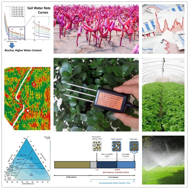MS20 เซ็นเซอร์ดินชลประทานกันน้ําแบบอะนาล็อกวัดอุณหภูมิและความชื้นเอาต์พุตอินเทอร์เฟซสูงสุด 24V