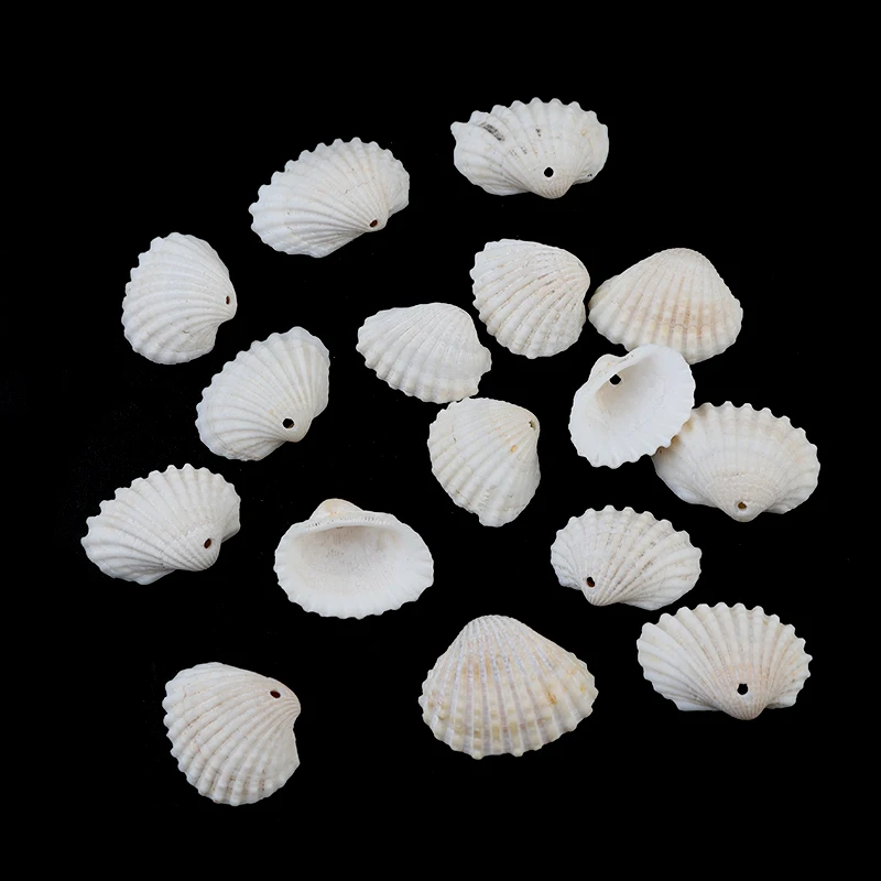 

40g Natural Sea Flower Snail Shell Beads Loose Spacer Beads DIY Jewelry Bracelet Pendant Phoen Key Bag Chain Accessories