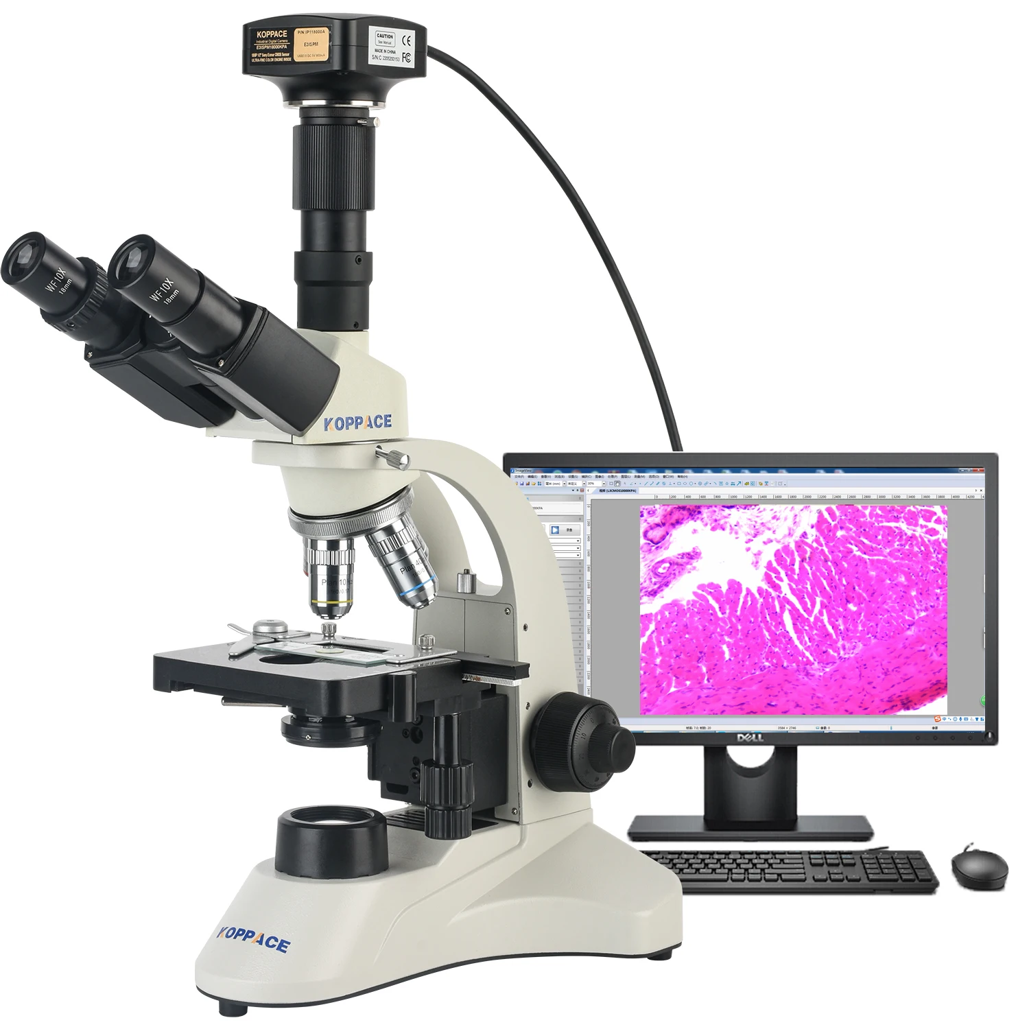 KOPPACE 290X-7400X Trinocular Compound Lab Microscope Flat Field Achromatic Objective 25 Million Pixels USB3.0 Camera