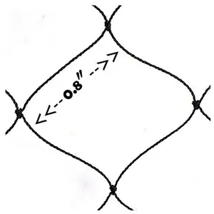 أفضل 7 فخ مبيعات لصيد الطيور - رقم 8