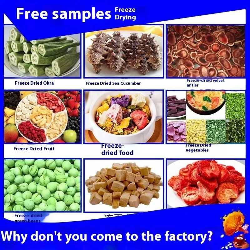 Commercial Machine Production Line Pet Food Strawberry Tea Equipment Vacuum Freeze Dryer