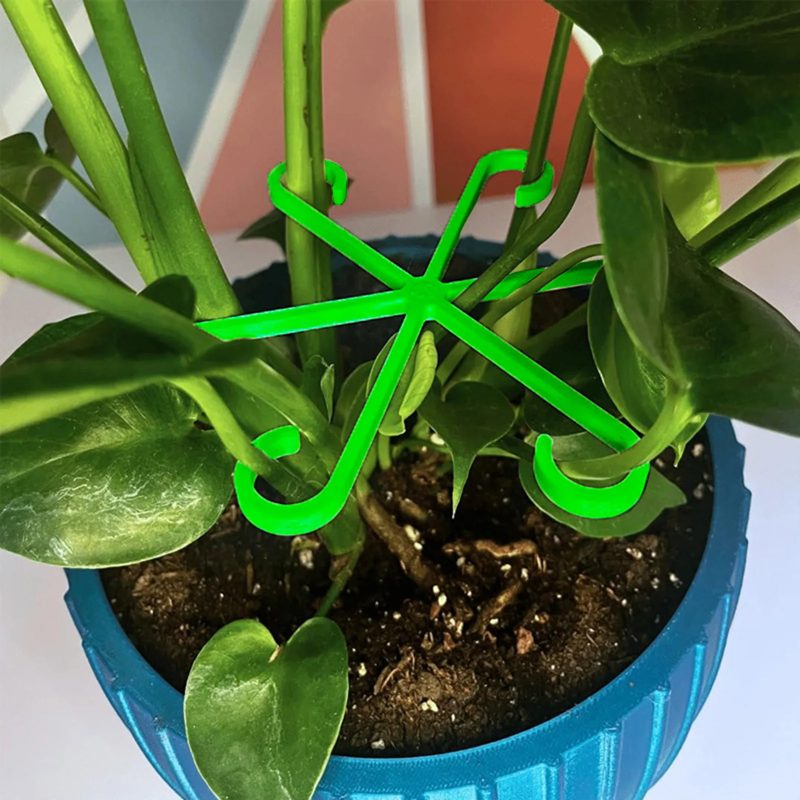 4Pcs Plants Stem Support Black/Red/Green Plastic Trellis Easy Installation Vine Plants Trellis for Indoor and Outdoor Plants - Detail 1