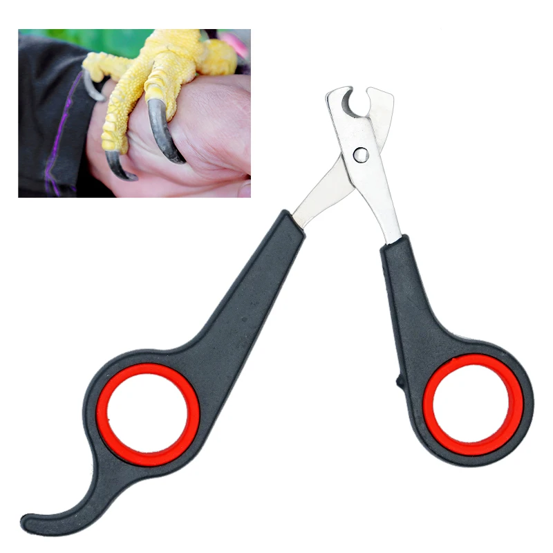 Pet Bird Parrot Small Animals Accessory Grooming Tool Nail Scissors Clipper Black And Red