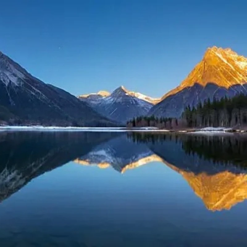 EMAX 뉴 미니 매그넘 2 F4 35A 플라이타워 20x20mm 35A MPU6000 2-6S BLHeli_32 4in1 ESC+F4 플라이트 컨트롤러 OSD+VTX RC FPV 드론