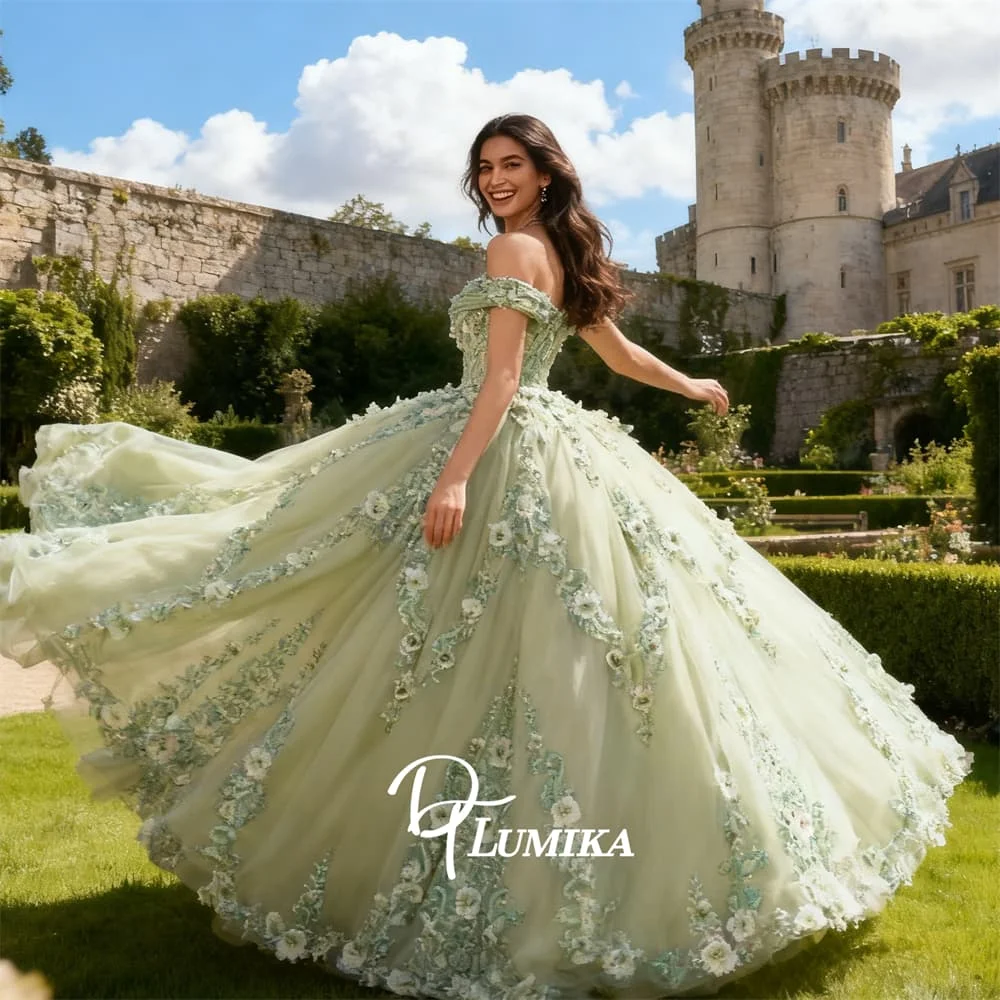 Light Green Mesh Sweet 15 Dress for Women with Off-the-shoulder, Classic Floral Appliques Ball Gown with Sweetheart Neck