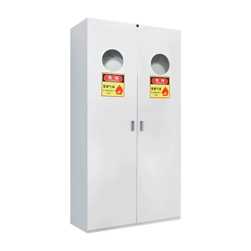 

Hot Sale All Steel Gas Cylinder Cabinet for Laboratory Furniture