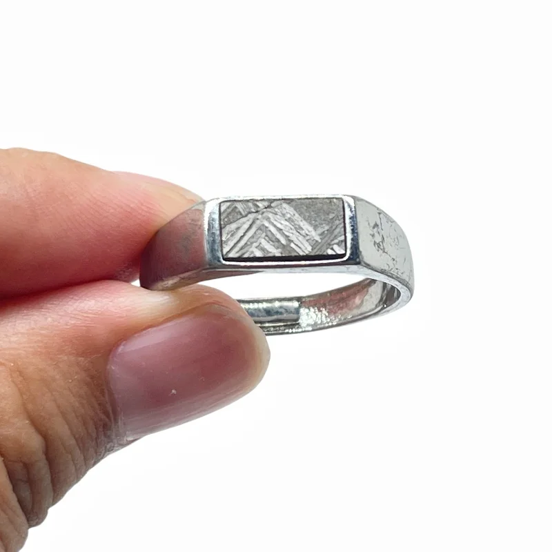 Muonionalusta Meteorite Series Handcrafted Adjustable Inlaid Ring Natural Meteorite Slab Mineral Specimen Jewelry Gift - K43