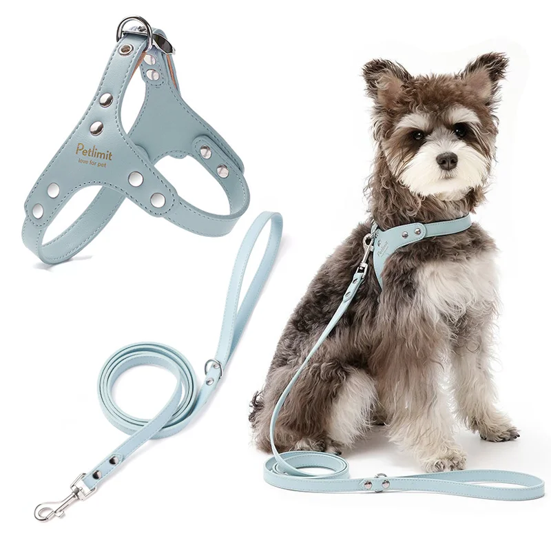 Hochwertiges Hundegeschirr- und Leine-Set aus Leder mit verstärkten Nieten für kleine Hunde – langlebige Hundegeschirrweste, Hundeleine