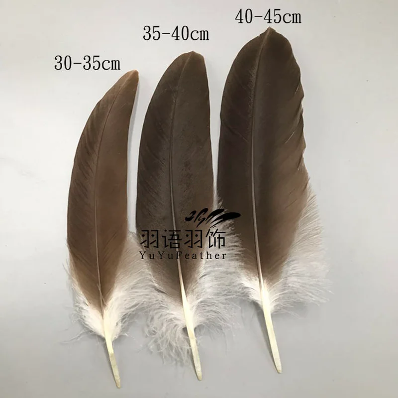 Rare Eagle Feather Natural Rare Horse Eagle Feather Household Flower Arrangement Decorative Feather Home Dec