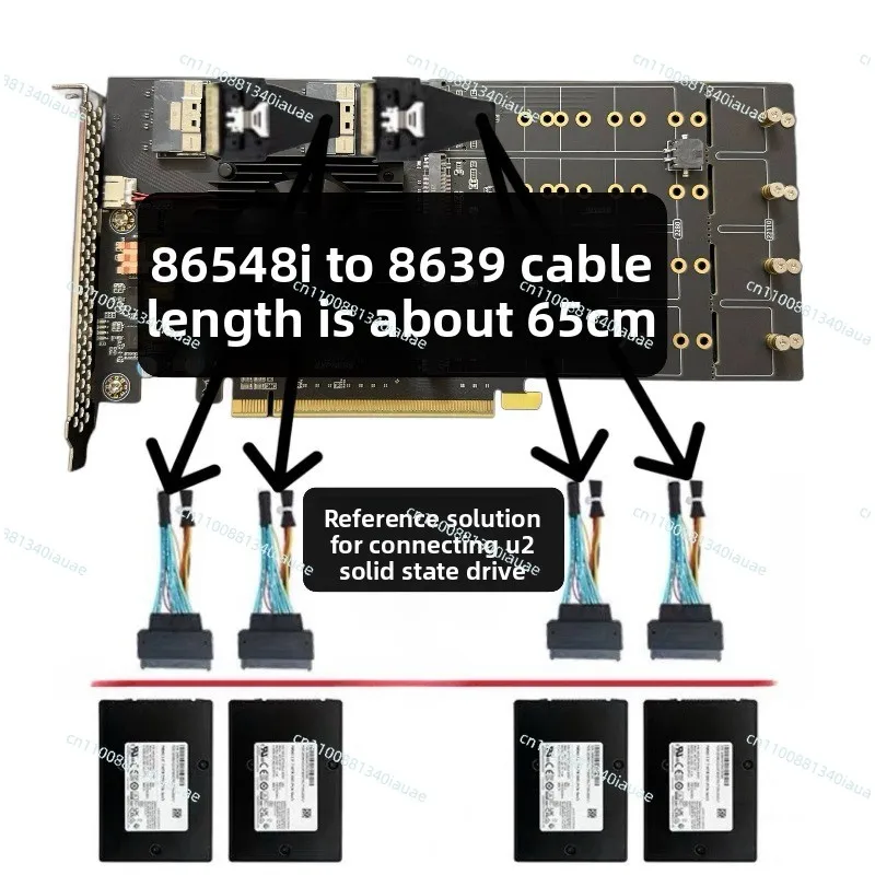 Fotografia 4: Placa Principal com Chip PEX de Divisão Livre, Placa de Expansão PCIe 4.0, M.2 NVMe SSD U.2