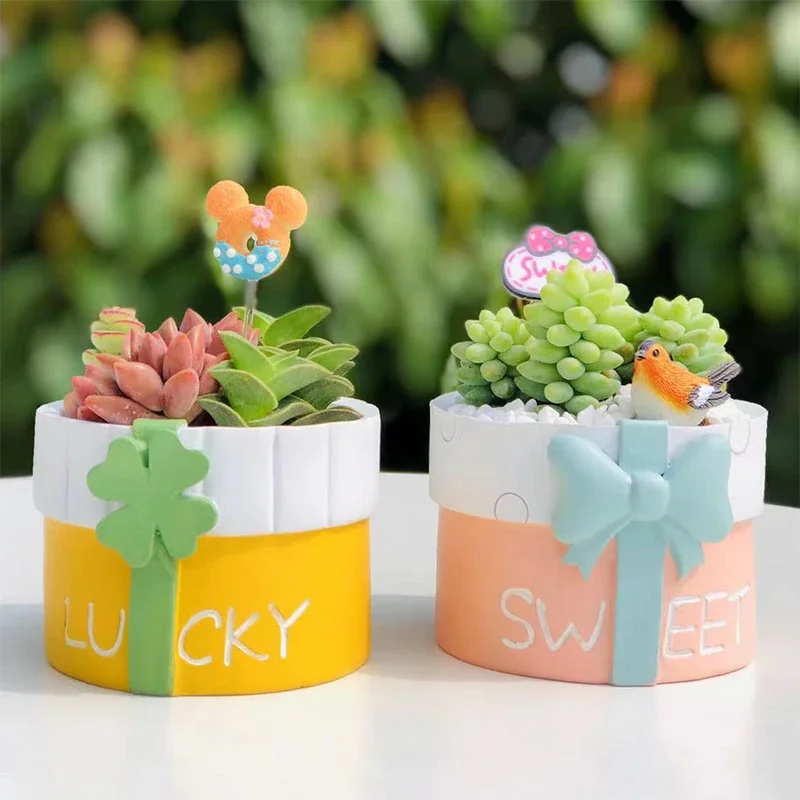 

Gift Box Design Resin Planter for Succulents, Decorative Flower Pot Garden Pots for Home Decor Desktop Ornament