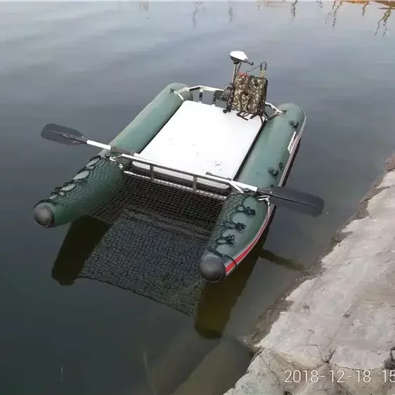

Hot Selling Pvc Material Inflatable Catamaran Fishing Boat Inflatable for Salepromote sales