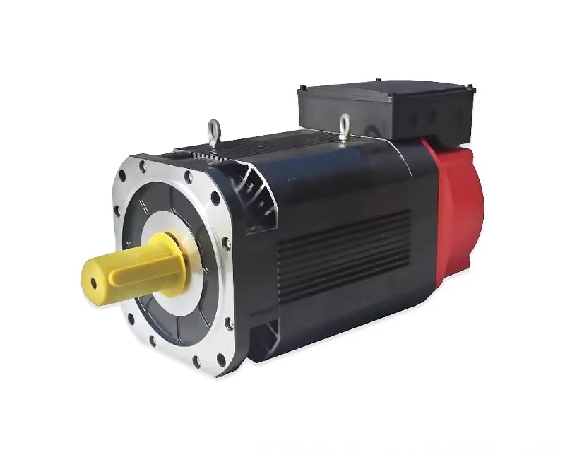 Spindle motor 3 Asynchronous servo spindle motor servo