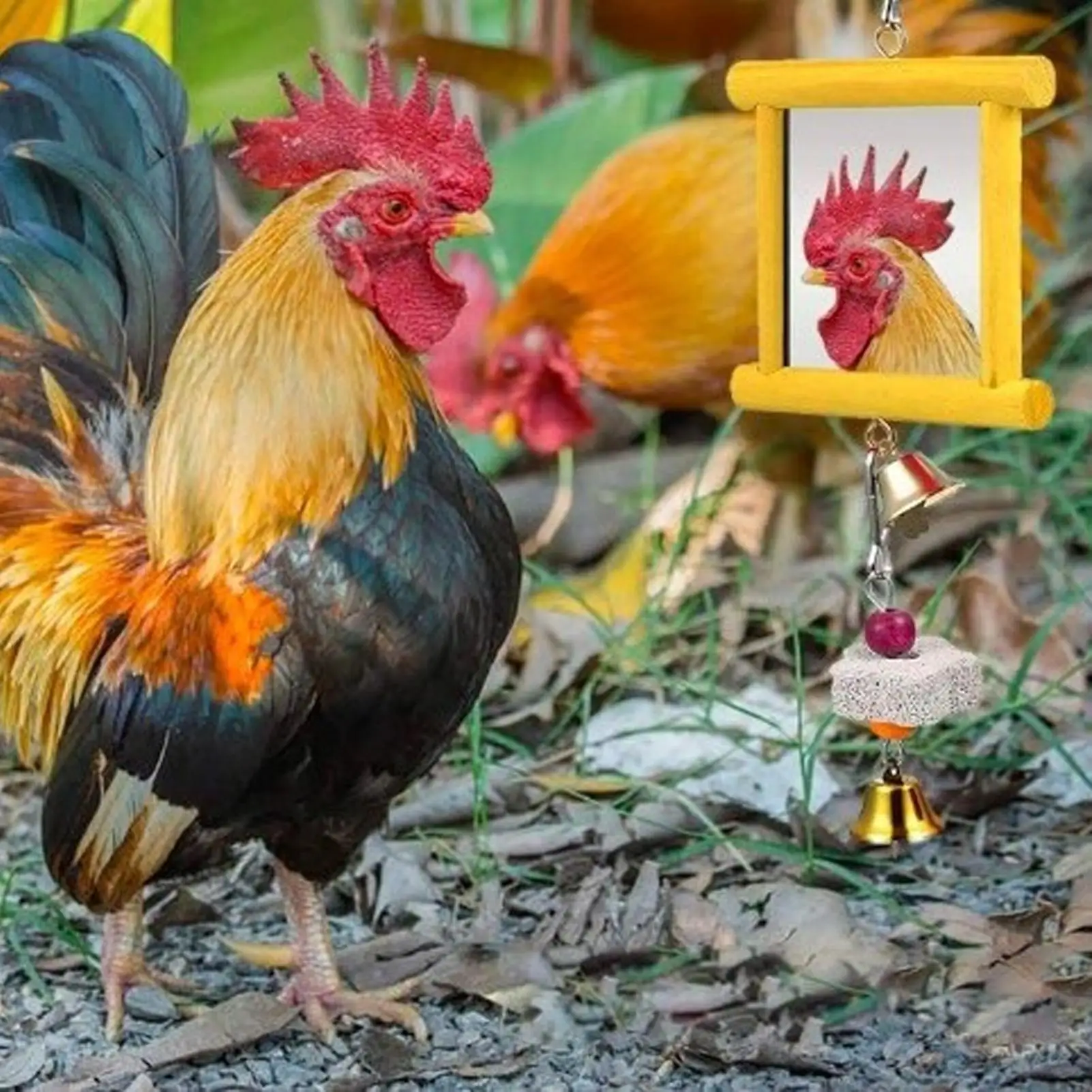 Chicken Coop Mirror… - image