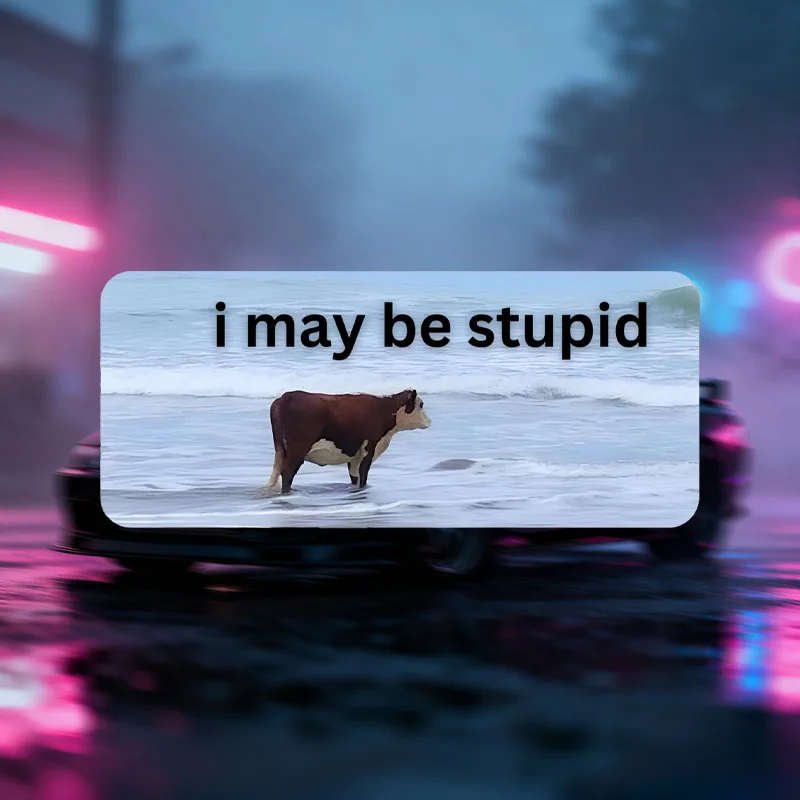 

1 шт., я могу быть глупой, забавное грязевое крыло с коровьим эмодзи, водонепроницаемый винил премиум-класса, прочный уличный класс, юмор Gen Z, подарок