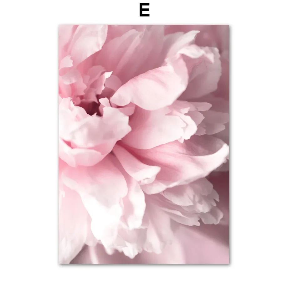 Frühling Rosa Rose Pfingstrose Sakura Löwenzahn Orchidee Spatz Auto Garten Poster Blume Wand Kunst Leinwand Malerei Home Room Decor 6