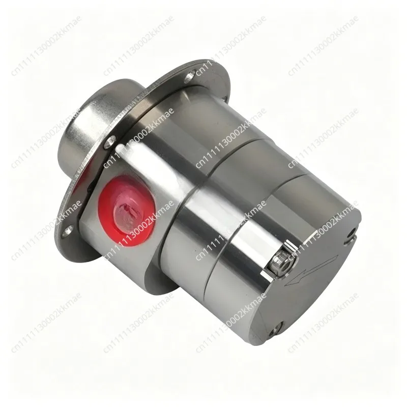 PEEK Gear Miniature High-precision Magnetic Gear Pump Metering Pump Injection Valve Stainless Steel Filling Pump