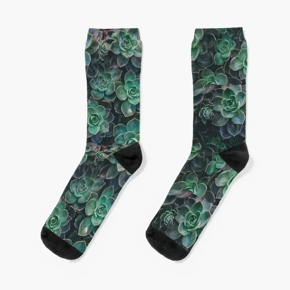 Succulents Socks sports stockings hip hop anime Socks Women Men's