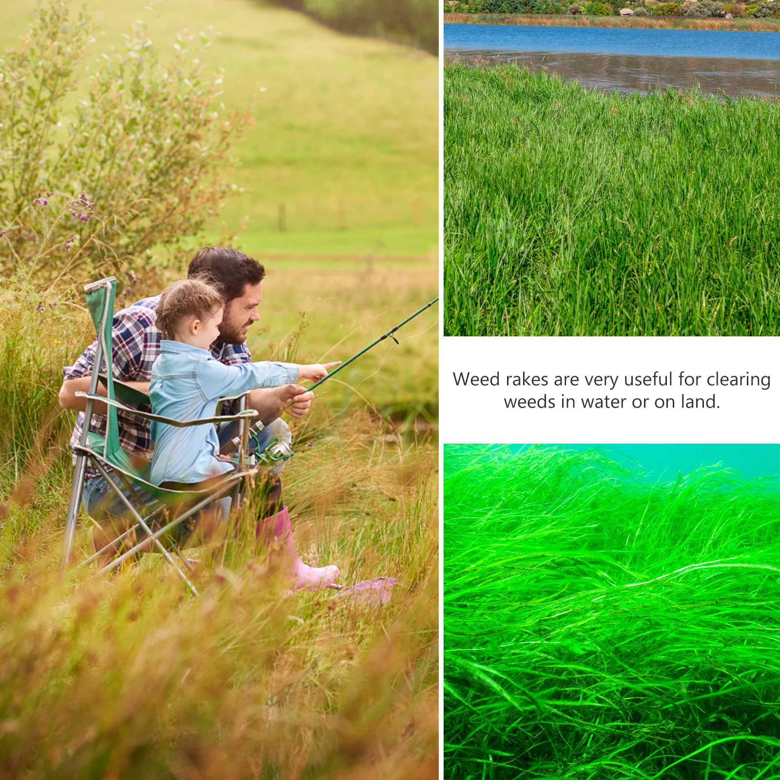 

Aquatic Rake Stainless Steel 4 Teeth Portable Water Removal Tool for Fishing Ponds Lakes Streams Aquatic Rake Farm Implement