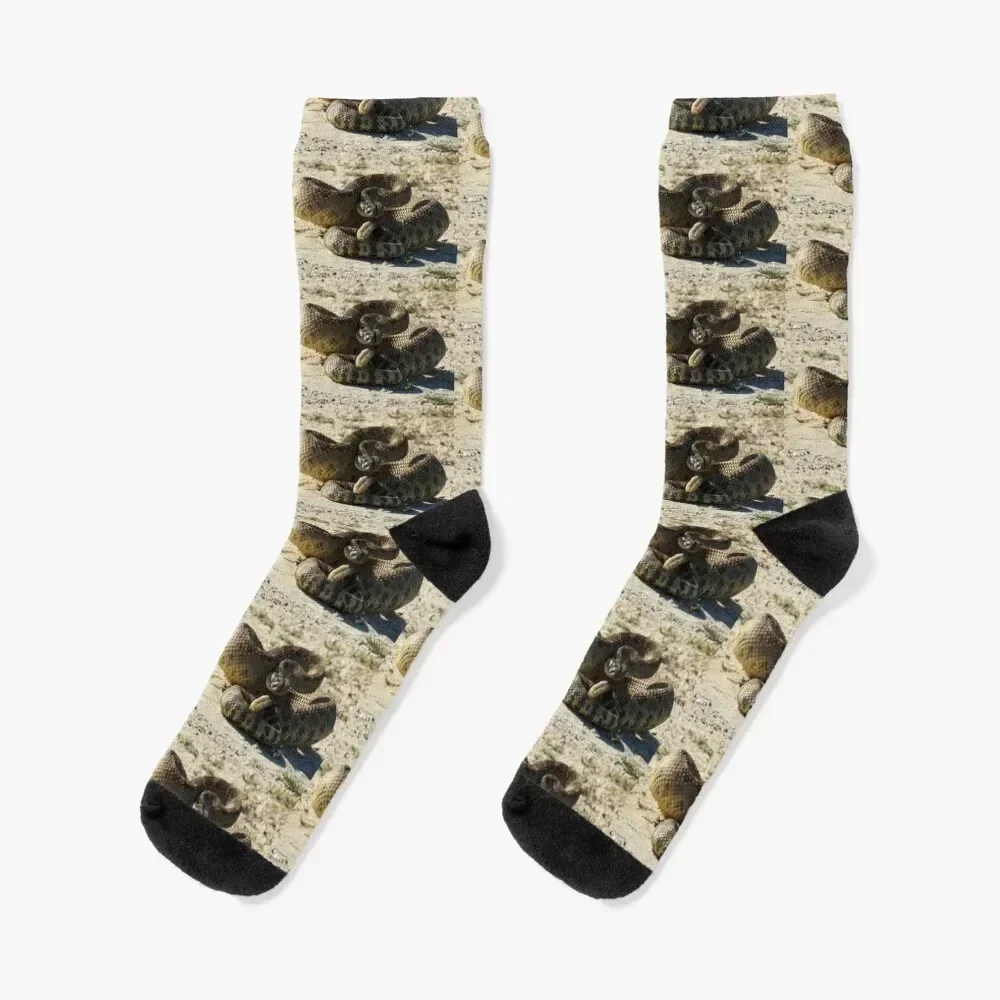 

Rattlesnake, wildlife, Deadly Silence Socks new year cool colored Women Socks Men's